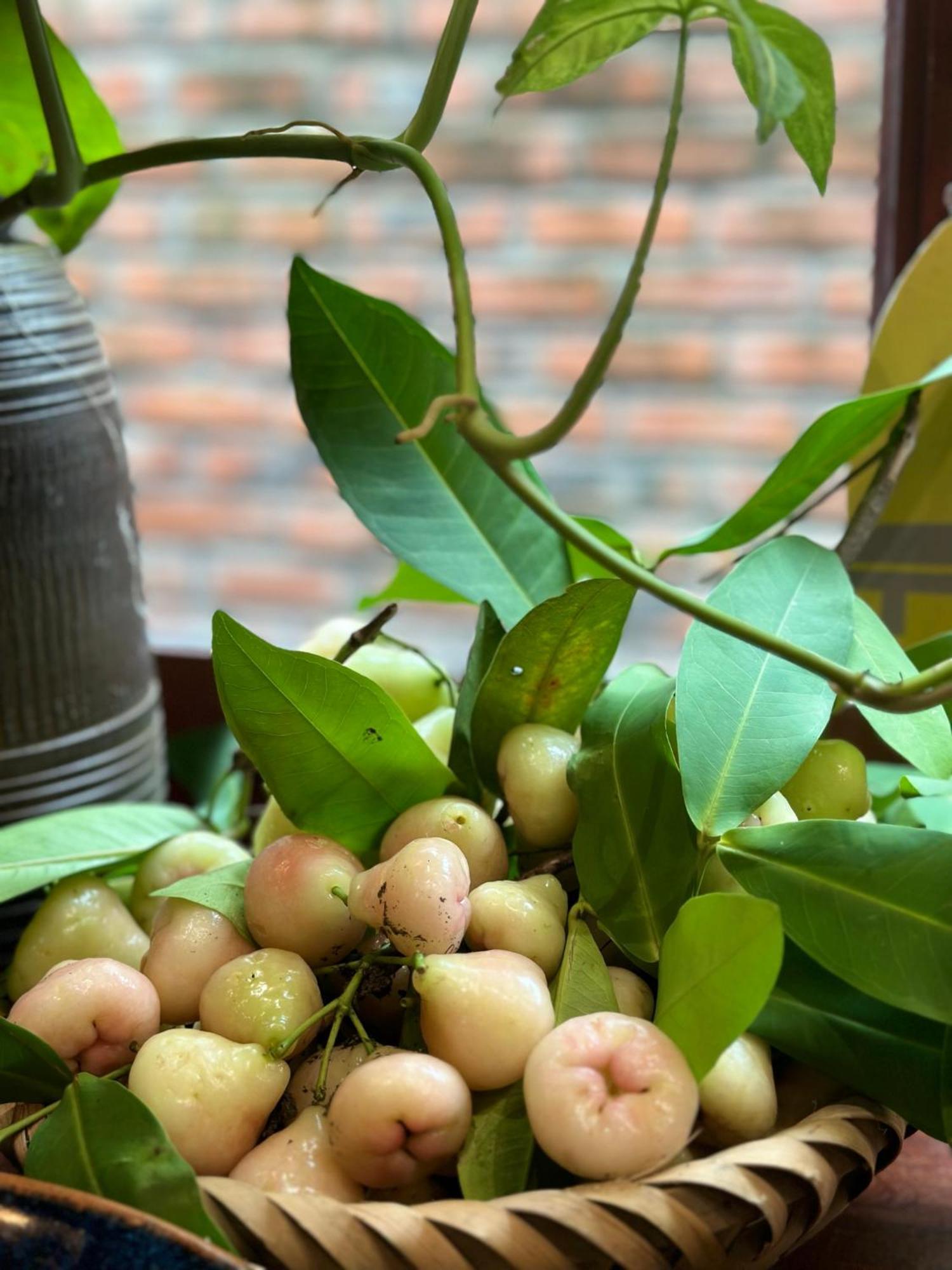 Trang An Heritage Garden Νιν Μπιν Εξωτερικό φωτογραφία