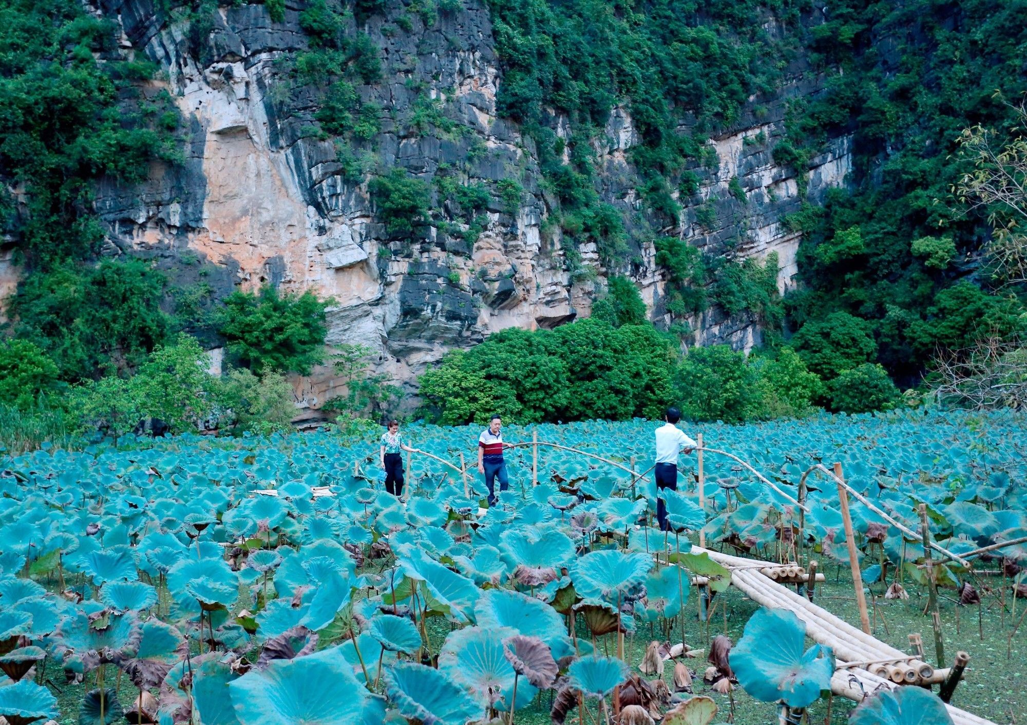 Trang An Heritage Garden Νιν Μπιν Εξωτερικό φωτογραφία